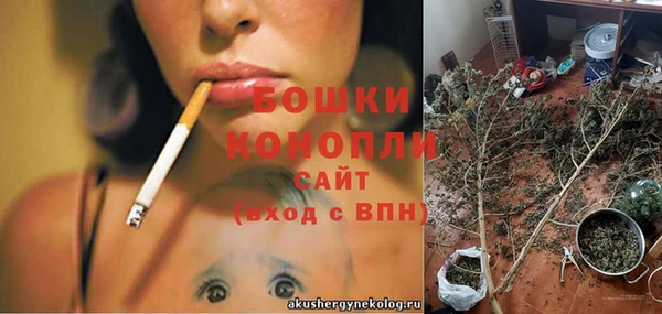 mix Богородицк